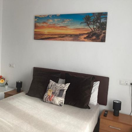 Room With Private Bathroom And Balcony Nearby The Mercado Central, Center And Beach アリカンテ エクステリア 写真